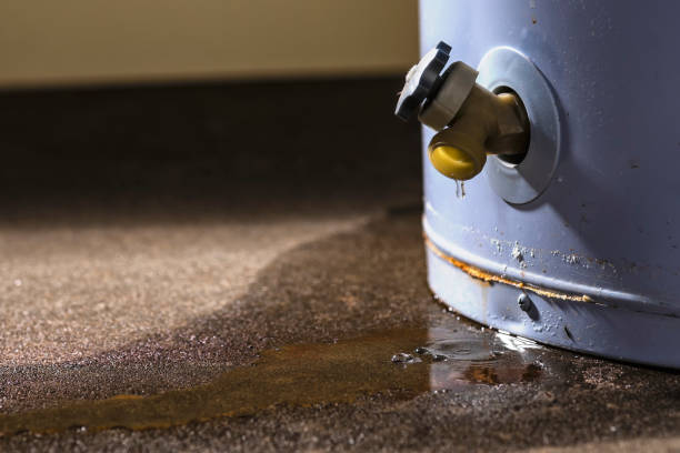 Best 24/7 water damage repair  in Shorewood, MN