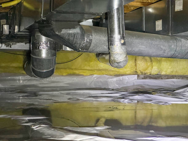 Best Carpet water damage restoration  in Shorewood, MN